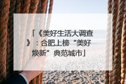 《美好生活大调查》：合肥上榜“美好焕新”典范城市