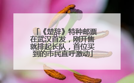 《楚辞》特种邮票在武汉首发，刚开售就排起长队，首位买到的市民直呼激动