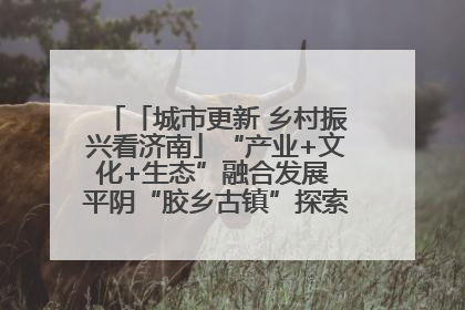 「城市更新 乡村振兴看济南」“产业+文化+生态”融合发展 平阴“胶乡古镇”探索振兴路径成效显著