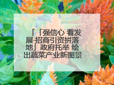 「强信心 看发展·招商引资拼落地」政府托举 绘出蔬菜产业新图景——镇原县甘肃聚广利现代设施蔬菜种植基地见闻