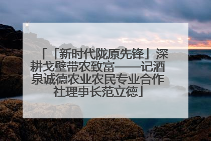 「新时代陇原先锋」深耕戈壁带农致富——记酒泉诚德农业农民专业合作社理事长范立德