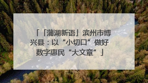 「蒲湖新语」滨州市博兴县：以“小切口”做好数字惠民“大文章”