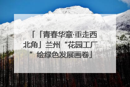 「青春华章·重走西北角」兰州“花园工厂”绘绿色发展画卷