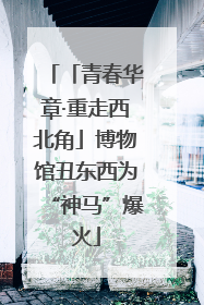 「青春华章·重走西北角」博物馆丑东西为“神马”爆火
