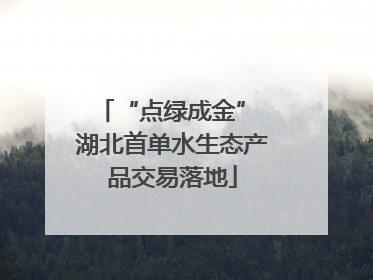 “点绿成金” 湖北首单水生态产品交易落地