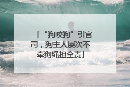 “狗咬狗”引官司，狗主人屡次不牵狗绳担全责