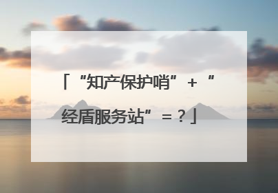 “知产保护哨”+“经盾服务站”=？