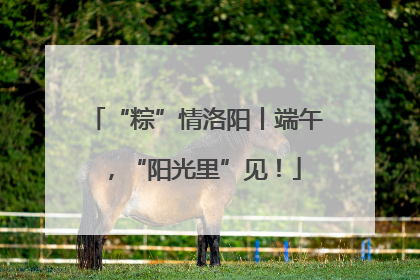 “粽”情洛阳丨端午，“阳光里”见！