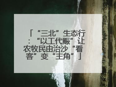 “三北”生态行：“以工代赈”让农牧民由治沙“看客”变“主角”