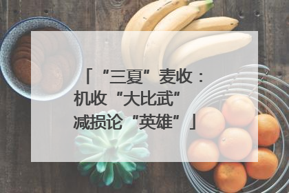 “三夏”麦收：机收“大比武” 减损论“英雄”