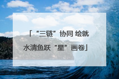 “三链”协同 绘就水清鱼跃“星”画卷