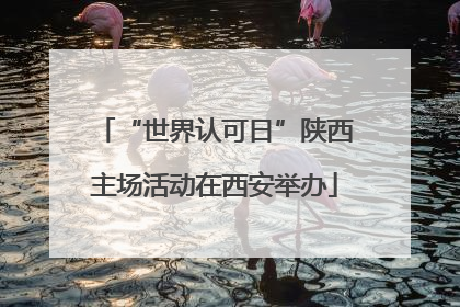 “世界认可日”陕西主场活动在西安举办