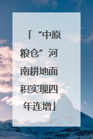 “中原粮仓”河南耕地面积实现四年连增