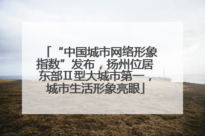 “中国城市网络形象指数”发布，扬州位居东部Ⅱ型大城市第一，城市生活形象亮眼