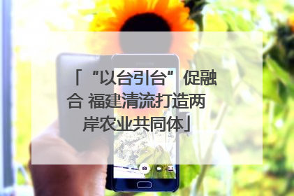 “以台引台”促融合 福建清流打造两岸农业共同体