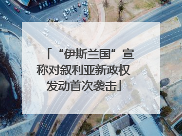“伊斯兰国”宣称对叙利亚新政权发动首次袭击