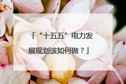“十五五”电力发展规划该如何做？
