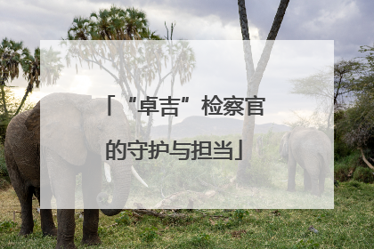 “卓吉”检察官的守护与担当