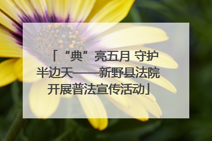 “典”亮五月 守护半边天——新野县法院开展普法宣传活动