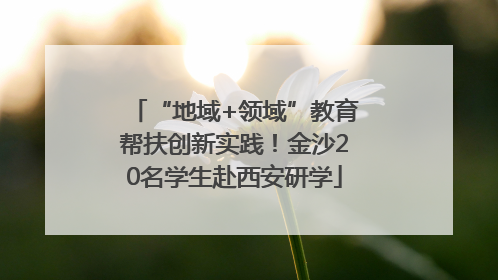 “地域+领域”教育帮扶创新实践！金沙20名学生赴西安研学