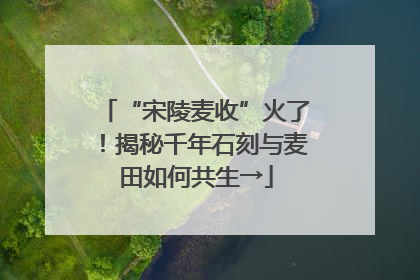 “宋陵麦收”火了！揭秘千年石刻与麦田如何共生→
