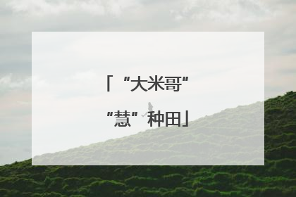“大米哥”“慧”种田