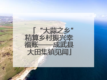 “大蒜之乡”精算乡村振兴幸福账——成武县大田集镇见闻
