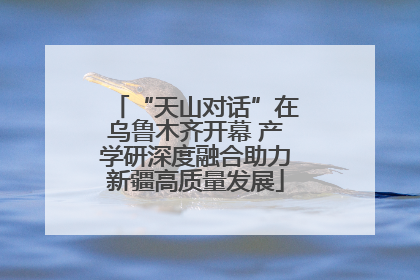 “天山对话”在乌鲁木齐开幕 产学研深度融合助力新疆高质量发展