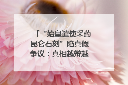 “始皇遣使采药昆仑石刻”陷真假争议：真相越辩越明｜新京报专栏