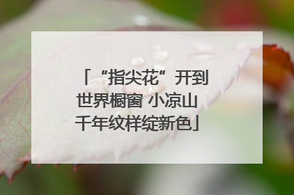 “指尖花”开到世界橱窗 小凉山千年纹样绽新色