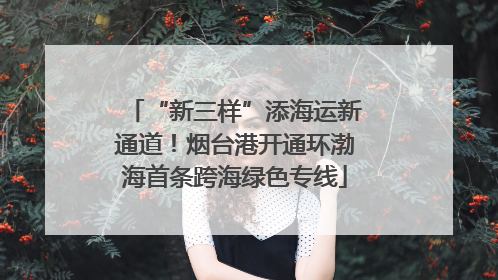 “新三样”添海运新通道！烟台港开通环渤海首条跨海绿色专线