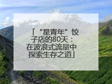 “星青年”饺子店的80天：在波浪式流量中探索生存之道