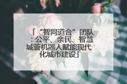 “智同道合”团队：公平、亲民、智慧城管机器人赋能现代化城市建设