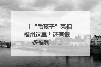 “毛孩子”亮相福州这里！还有很多福利……