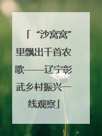 “沙窝窝”里飘出千首农歌——辽宁彰武乡村振兴一线观察