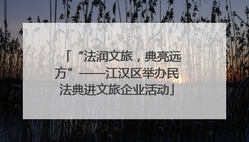 “法润文旅，典亮远方”——江汉区举办民法典进文旅企业活动