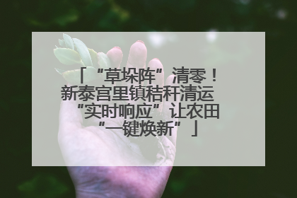 “草垛阵”清零！新泰宫里镇秸秆清运“实时响应”让农田“一键焕新”