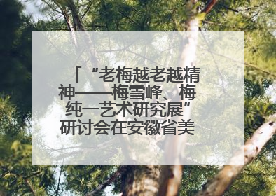 “老梅越老越精神——梅雪峰、梅纯一艺术研究展”研讨会在安徽省美术馆召开