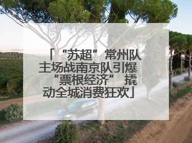 “苏超”常州队主场战南京队引爆“票根经济” 撬动全城消费狂欢