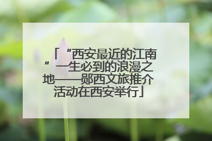 “西安最近的江南”一生必到的浪漫之地——郧西文旅推介活动在西安举行
