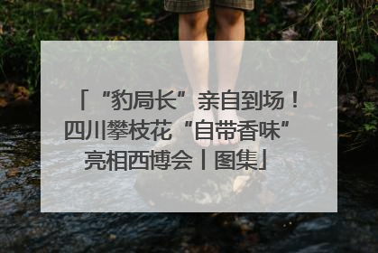 “豹局长”亲自到场！四川攀枝花“自带香味”亮相西博会丨图集