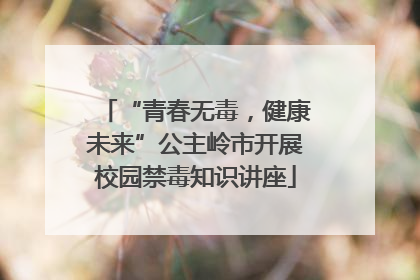 “青春无毒，健康未来”公主岭市开展校园禁毒知识讲座
