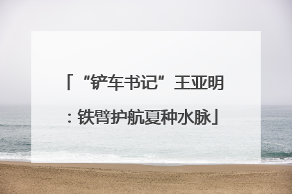 “铲车书记”王亚明：铁臂护航夏种水脉