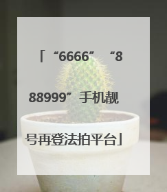 “6666”“888999”手机靓号再登法拍平台