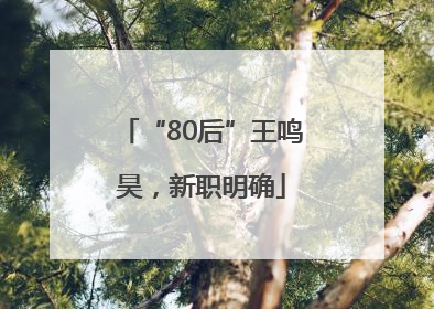 “80后”王鸣昊，新职明确
