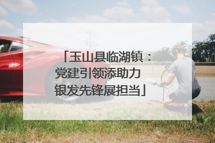 玉山县临湖镇：党建引领添助力 银发先锋展担当