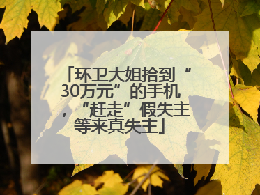 环卫大姐拾到“30万元”的手机，“赶走”假失主等来真失主