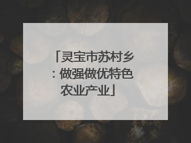 灵宝市苏村乡：做强做优特色农业产业