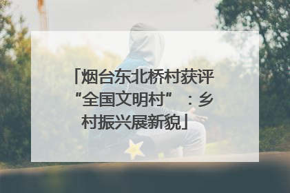 烟台东北桥村获评“全国文明村”：乡村振兴展新貌