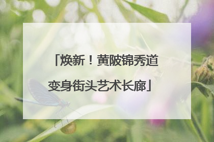 焕新！黄陂锦秀道变身街头艺术长廊